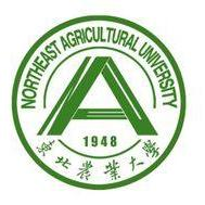 九游会网址